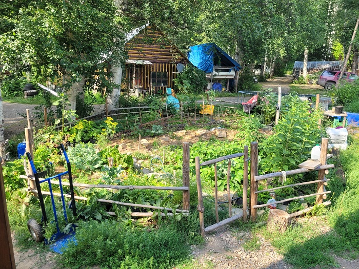 hugelkultur kitchen garden