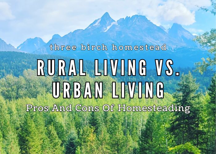 rural living vs urban living