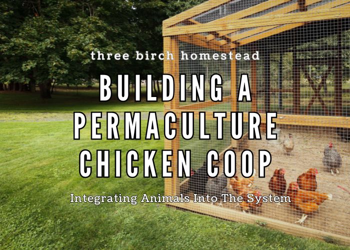 permaculture chicken coop