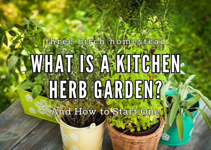 what is a kitchen herb garden